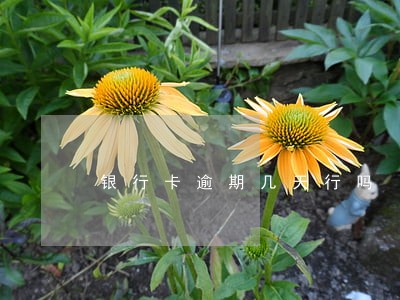 银行卡逾期几天行吗 银行卡逾期几天行吗