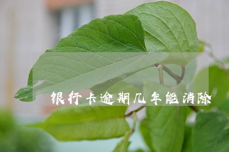 银行卡逾期几年能消除 银行卡逾期几年能消除