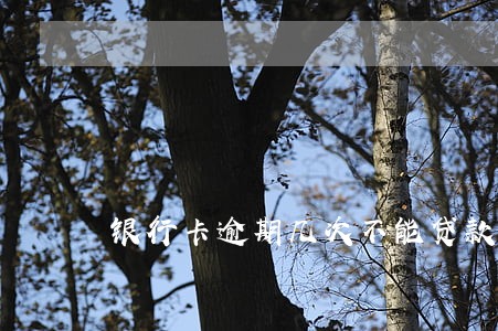 银行卡逾期几次不能贷款 银行卡逾期几次不能贷款