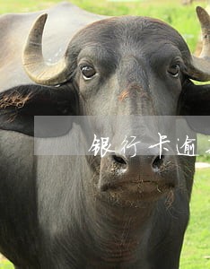 银行卡逾期分行电话 银行卡逾期分行电话