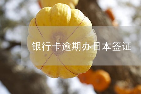 银行卡逾期办日本签证 银行卡逾期办日本签证