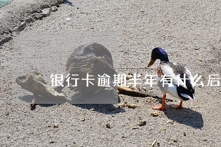 银行卡逾期半年有什么后果 银行卡逾期半年有什么后果