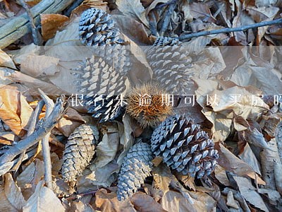 银行卡逾期可以买房吗 银行卡逾期可以买房吗