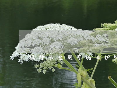 银行卡逾期可以办护照吗