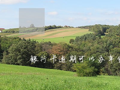 银行卡逾期可以办车贷吗 银行卡逾期可以办车贷吗