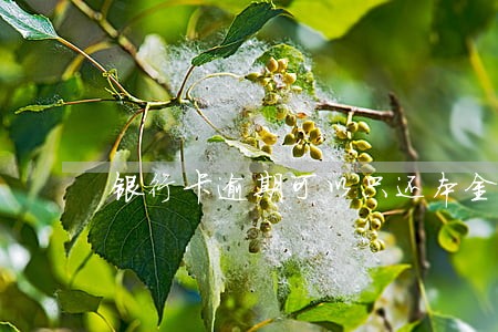 银行卡逾期可以只还本金吗 银行卡逾期可以只还本金吗