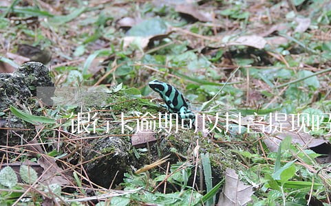 银行卡逾期可以抖音提现吗 银行卡逾期可以抖音提现吗