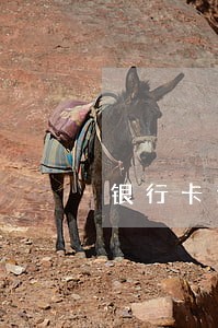 银行卡逾期可以报名学车吗 银行卡逾期可以报名学车吗