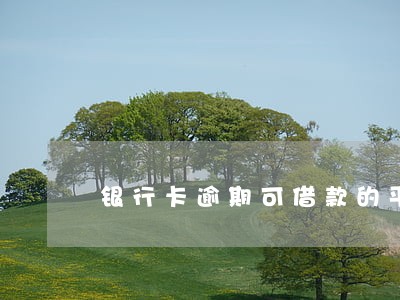 银行卡逾期可借款的平台 银行卡逾期可借款的平台
