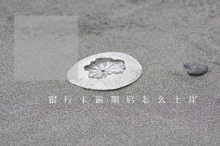 银行卡逾期后怎么上岸 银行卡逾期后怎么上岸
