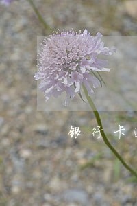 银行卡逾期后怎么解决 银行卡逾期后怎么解决