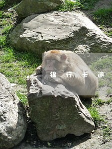 银行卡逾期后注销 银行卡逾期后注销