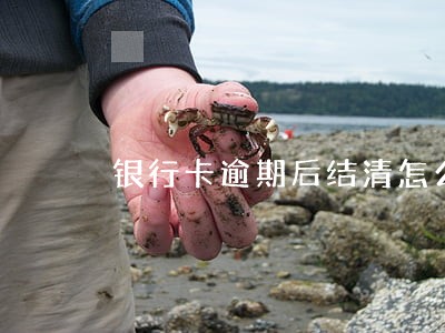 银行卡逾期后结清怎么贷款