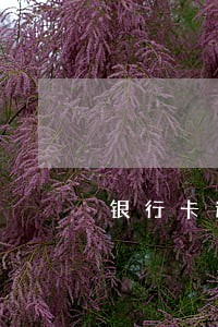 银行卡逾期后还能不能办车贷 银行卡逾期后还能不能办车贷