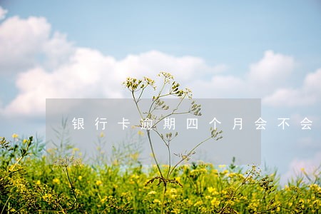 银行卡逾期四个月会不会被起诉
