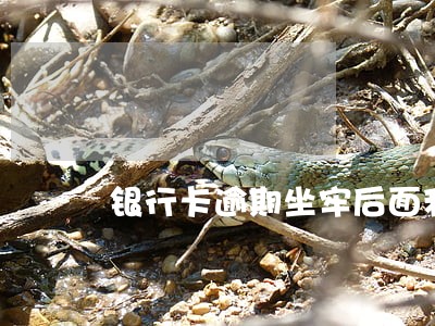 银行卡逾期坐牢后面利息怎么算 银行卡逾期坐牢后面利息怎么算