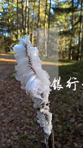 银行卡逾期多久上门催收 银行卡逾期多久上门催收