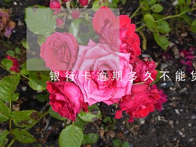银行卡逾期多久不能贷款 银行卡逾期多久不能贷款