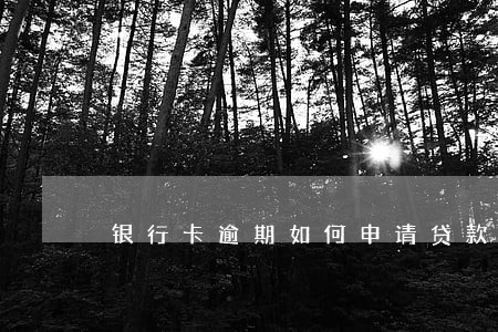银行卡逾期如何申请贷款