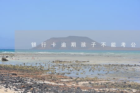 银行卡逾期孩子不能考公务员