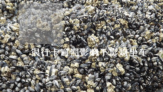 银行卡逾期影响不影响坐车 银行卡逾期影响不影响坐车
