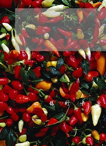银行卡逾期影响征信和贷款吗 银行卡逾期影响征信和贷款吗