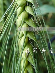 银行卡逾期怎么投诉滞纳金 银行卡逾期怎么投诉滞纳金