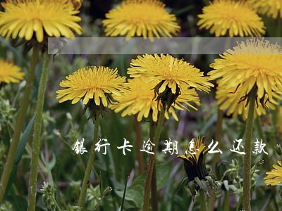 银行卡逾期怎么还款 银行卡逾期怎么还款