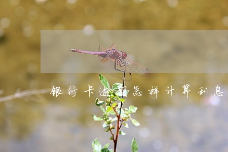 银行卡逾期怎样计算利息收入 银行卡逾期怎样计算利息收入