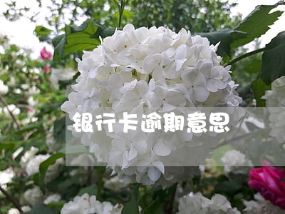 银行卡逾期意思 银行卡逾期意思