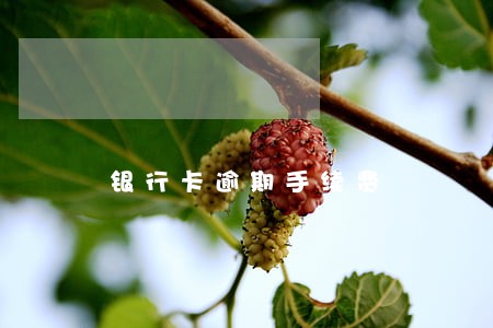银行卡逾期手续费 银行卡逾期手续费