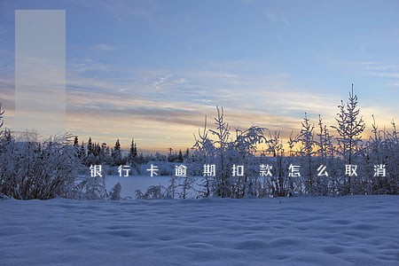 银行卡逾期扣款怎么取消 银行卡逾期扣款怎么取消