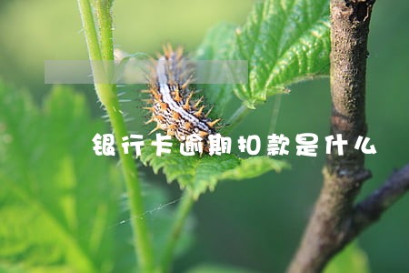 银行卡逾期扣款是什么 银行卡逾期扣款是什么