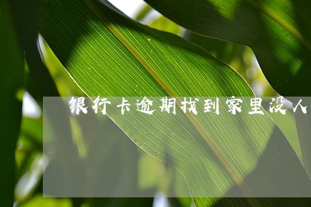 银行卡逾期找到家里没人咋办