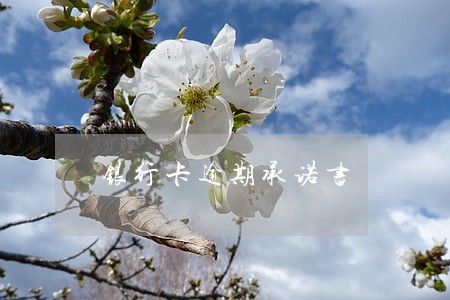 银行卡逾期承诺书 银行卡逾期承诺书