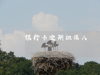 银行卡逾期担保人 银行卡逾期担保人