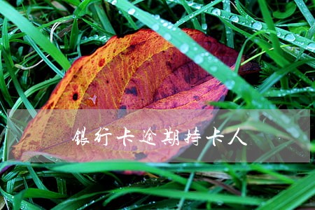银行卡逾期持卡人 银行卡逾期持卡人