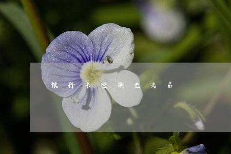 银行卡逾期无交易 银行卡逾期无交易