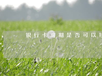 银行卡逾期是否可以挂账分期 银行卡逾期是否可以挂账分期