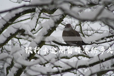 银行卡逾期暂时冻结多久解除 银行卡逾期暂时冻结多久解除