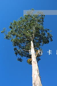 银行卡逾期最快消除 银行卡逾期最快消除