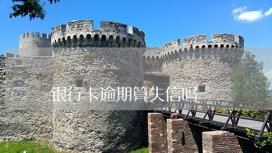 银行卡逾期算失信吗 银行卡逾期算失信吗