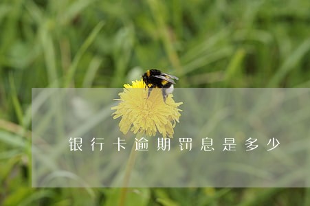 银行卡逾期罚息是多少 银行卡逾期罚息是多少