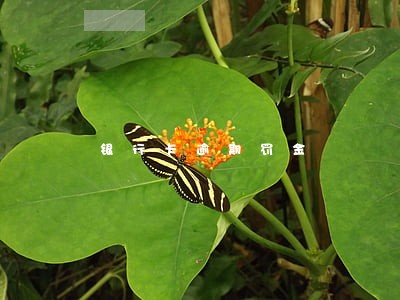银行卡逾期罚金 银行卡逾期罚金