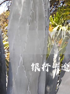 银行卡逾期能办健康证吗 银行卡逾期能办健康证吗