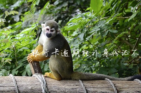 银行卡逾期能补身份证不 银行卡逾期能补身份证不