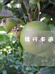 银行卡逾期记录会保留多长时间 银行卡逾期记录会保留多长时间
