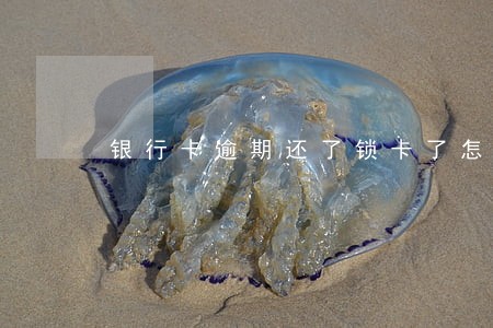 银行卡逾期还了锁卡了怎么办 银行卡逾期还了锁卡了怎么办