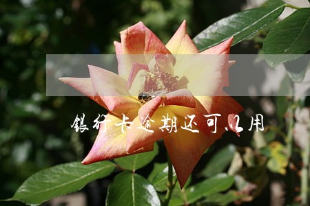 银行卡逾期还可以用 银行卡逾期还可以用