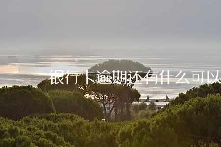 银行卡逾期还有什么可以网贷 银行卡逾期还有什么可以网贷